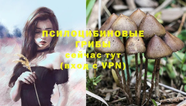 герыч Алексин