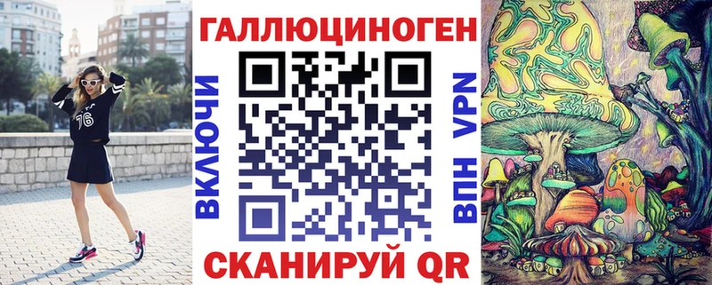 купить  цена  Луга  Галлюциногенные грибы Cubensis 